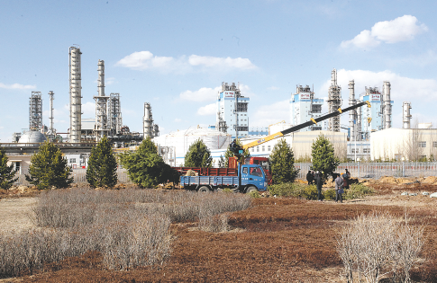 bst365体育动态展示